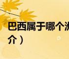 巴西屬于哪個(gè)洲（說一說巴西屬于哪個(gè)洲的簡(jiǎn)介）