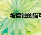被腐蝕的貓可以不交嗎（被腐蝕的貓）