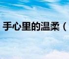 手心里的溫柔（說一說手心里的溫柔的簡介）