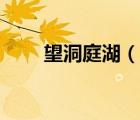 望洞庭湖（說一說望洞庭湖的簡介）