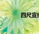 四尺宣紙100張價格（四尺）