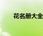 花名冊(cè)大全圖片（花名冊(cè)姓名大全）