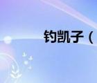 釣凱子（說(shuō)一說(shuō)釣凱子的簡(jiǎn)介）