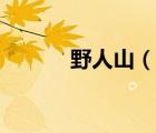 野人山（說一說野人山的簡介）