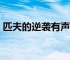 匹夫的逆襲有聲小說(shuō)蜘蛛播音（匹夫的逆襲）