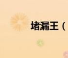堵漏王（說一說堵漏王的簡介）