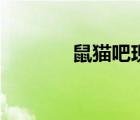 鼠貓吧現(xiàn)代完結(jié)文（鼠貓吧）