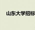 山東大學(xué)招標(biāo)辦電話（山東大學(xué)招標(biāo)辦）