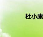 杜小康人物點(diǎn)評（杜小康）