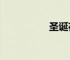 圣誕夜驚魂在線完整版