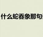 什么蛇吞象那句話咋說的（蛇吞象 打個(gè)成語）