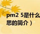 pm2 5是什么意思（說(shuō)一說(shuō)pm2 5是什么意思的簡(jiǎn)介）