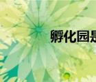 孵化園是什么意思（孵化園）