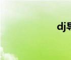 dj導(dǎo)航（大姐導(dǎo)航）