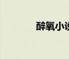 醉氧小說（醉氧是什么意思）