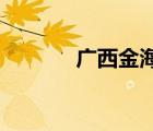 廣西金海堂藥業(yè)有限責任公司