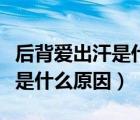 后背愛出汗是什么原因一問一答（后背愛出汗是什么原因）