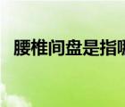 腰椎間盤(pán)是指哪里（腰椎間盤(pán)是什么樣的）