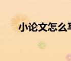 小論文怎么寫500字（小論文怎么寫）