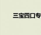 三寶四口專項施工方案（三寶四口）