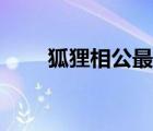 狐貍相公最新章節(jié)列表（狐貍相公）