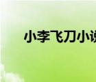 小李飛刀小說(shuō)（小李飛刀之皇城爭(zhēng)霸）