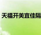 天福開美宜佳隔壁（天福便利店對比美宜佳）