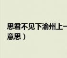 思君不見下渝州上一句（夜發(fā)清溪向三峽思君不見下渝州的意思）