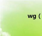 wg（說一說wg的簡介）
