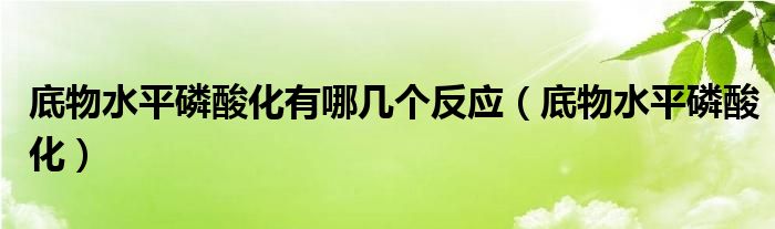 底物水平磷酸化有哪幾個反應(yīng)（底物水平磷酸化）