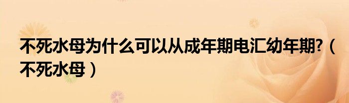 不死水母為什么可以從成年期電匯幼年期?（不死水母）