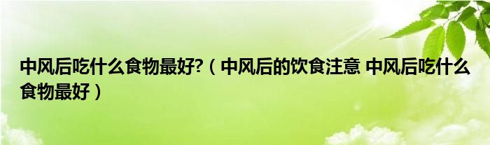 中風(fēng)后吃什么食物最好?（中風(fēng)后的飲食注意 中風(fēng)后吃什么食物最好）