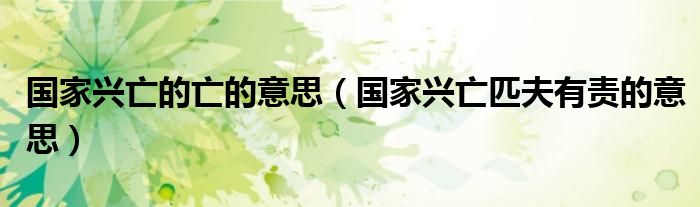 國家興亡的亡的意思（國家興亡匹夫有責的意思）