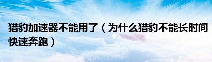 獵豹加速器不能用了（為什么獵豹不能長時(shí)間快速奔跑）