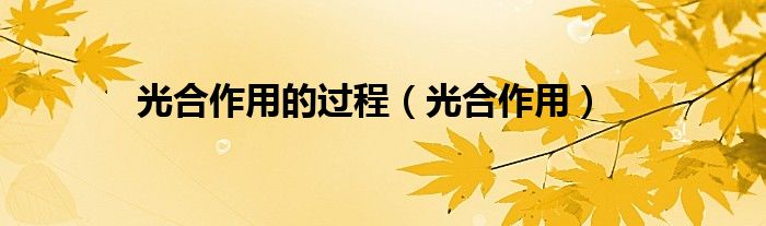 光合作用的過程（光合作用）