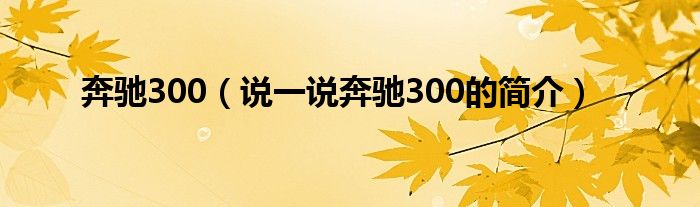 奔馳300（說一說奔馳300的簡介）