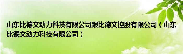 山東比德文動力科技有限公司跟比德文控股有限公司（山東比德文動力科技有限公司）