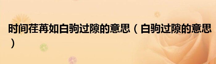 時間荏苒如白駒過隙的意思（白駒過隙的意思）