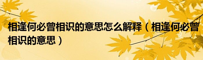 相逢何必曾相識(shí)的意思怎么解釋?zhuān)ㄏ喾旰伪卦嘧R(shí)的意思）