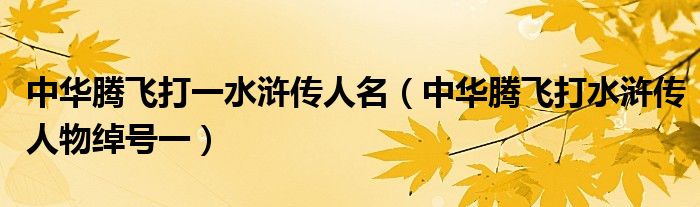 中華騰飛打一水滸傳人名（中華騰飛打水滸傳人物綽號一）