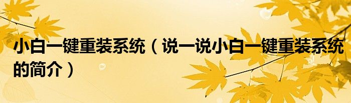 小白一鍵重裝系統(tǒng)（說一說小白一鍵重裝系統(tǒng)的簡介）