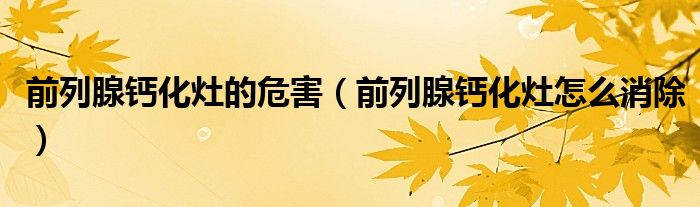 前列腺鈣化灶的危害（前列腺鈣化灶怎么消除）
