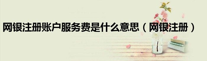 網(wǎng)銀注冊(cè)賬戶服務(wù)費(fèi)是什么意思（網(wǎng)銀注冊(cè)）