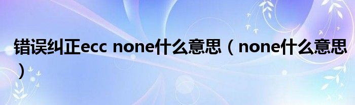錯(cuò)誤糾正ecc none什么意思（none什么意思）