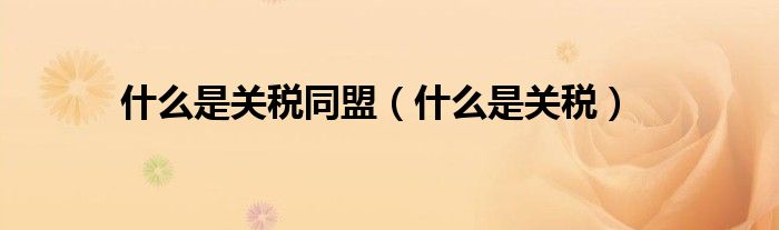 什么是關(guān)稅同盟（什么是關(guān)稅）