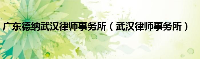 廣東德納武漢律師事務(wù)所（武漢律師事務(wù)所）