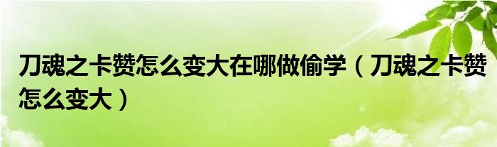 刀魂之卡贊怎么變大在哪做偷學(xué)（刀魂之卡贊怎么變大）