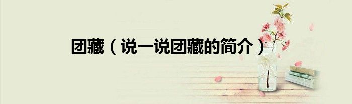 團藏（說一說團藏的簡介）