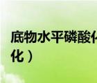 底物水平磷酸化有哪幾個反應(yīng)（底物水平磷酸化）