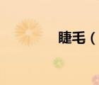 睫毛（說一說睫毛的簡介）